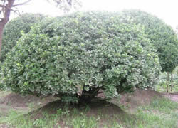 ���~�S����