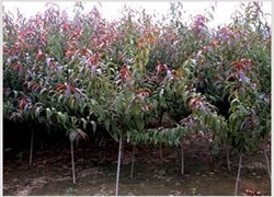 ���~����