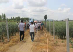 �͑�����