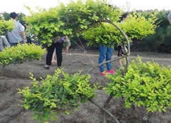 �͑�����