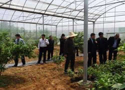 �͑�����